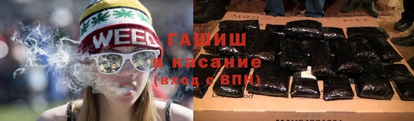 бошки Белокуриха