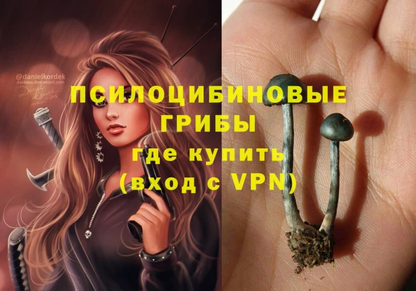 герыч Бугульма