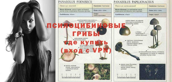 бошки Белокуриха