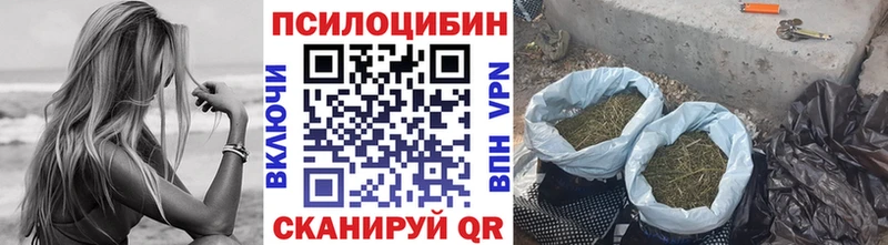 ссылка на мегу tor  Каменка  Галлюциногенные грибы мицелий  закладки 